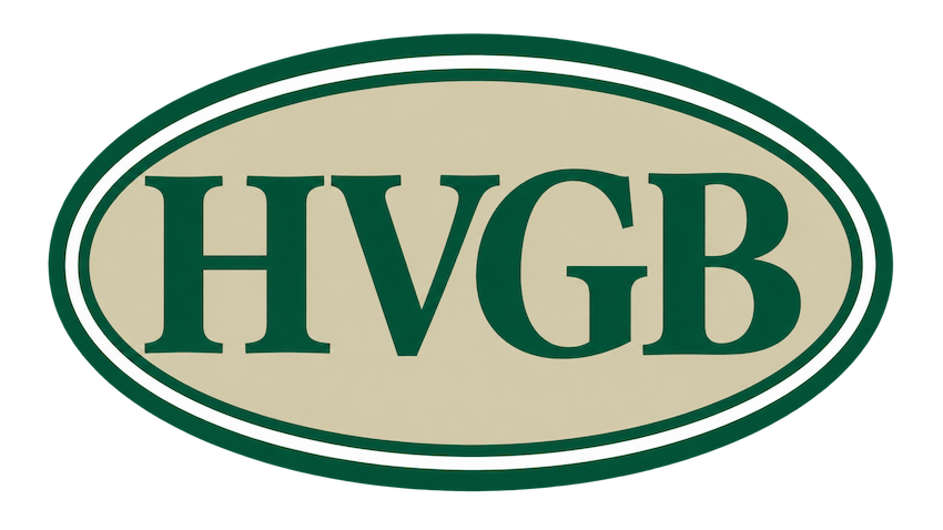 Huron Valley Global Bank logo
